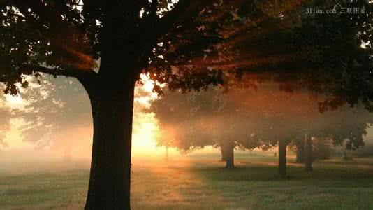 有些道理，知道的越早越好