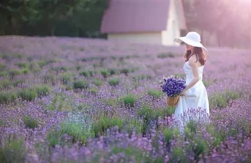 春风十里，许你一场永如初见