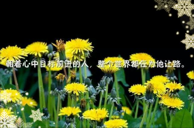 做人还是随心的好