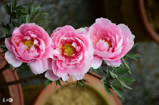 人的一生，是生不带来死不带去的一生（精辟）