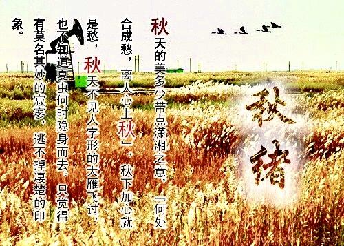 读懂了秋就读懂了人生