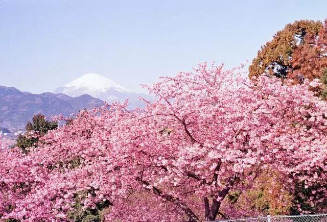 想要别人爱你的话，就要去爱别人，做一个可爱的人