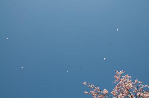 朋友圈最能治愈心灵的鸡汤语录 朋友圈最能治愈心灵的鸡汤语录