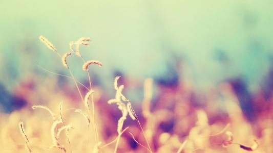 时光所偷走的，永远是你眼皮底下，看不见的珍贵