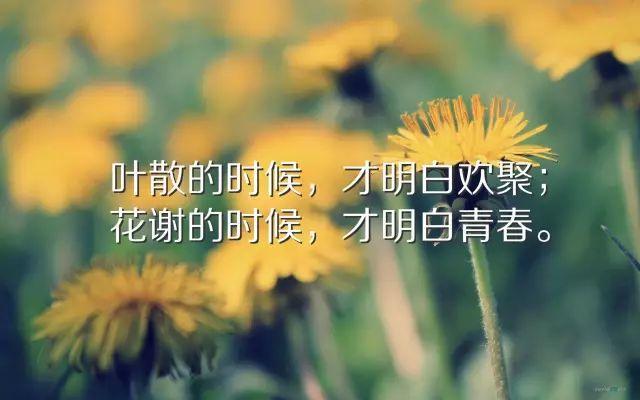 深刻透彻的一句话经典语录，字字珠玑，值得珍藏