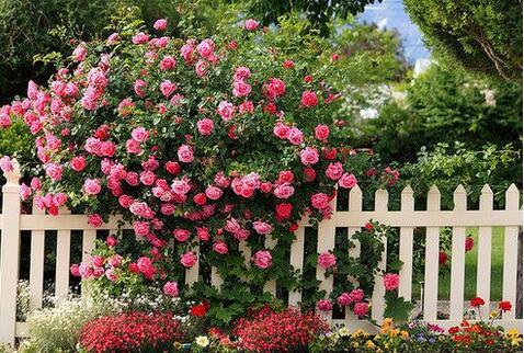 让你每天充满正能量的语录很经典 让你每天充满正能量的语录很经典