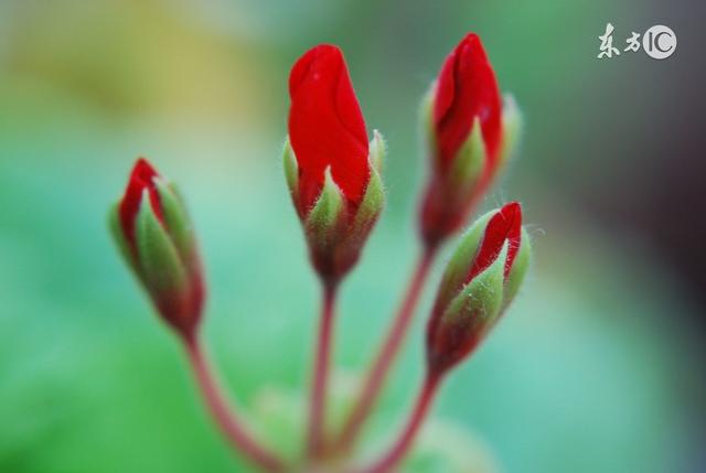 人生再难,也要挺过去 人生再难,也要挺过去