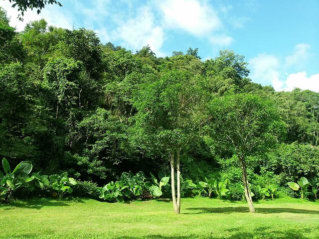拒绝这件事,越简单越好 拒绝这件事,越简单越好