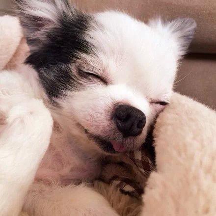 精选微信朋友圈语录 精选微信朋友圈语录