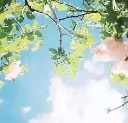 淡而不厌