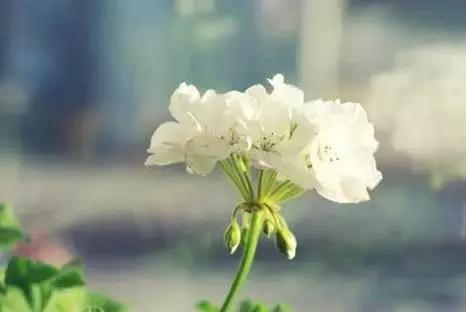 做事，要以终为始，以始为终