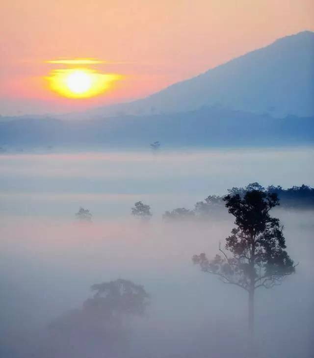 人这一生不过如此 人这一生不过如此