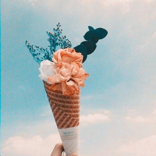 说一句你听过最落寞的语录吧