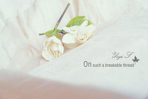 心态安好，则幸福常存；心若无求，宁静自来