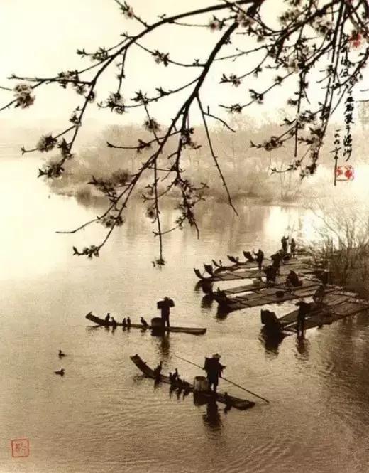 我就是我,不一样的烟火 我就是我,不一样的烟火