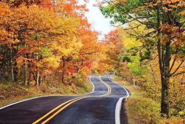 永远不要从别人嘴里去认识另一个人