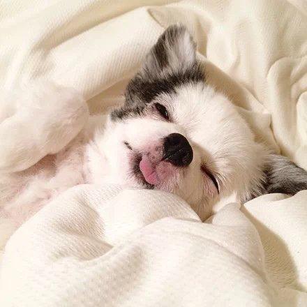 精选微信朋友圈语录 精选微信朋友圈语录