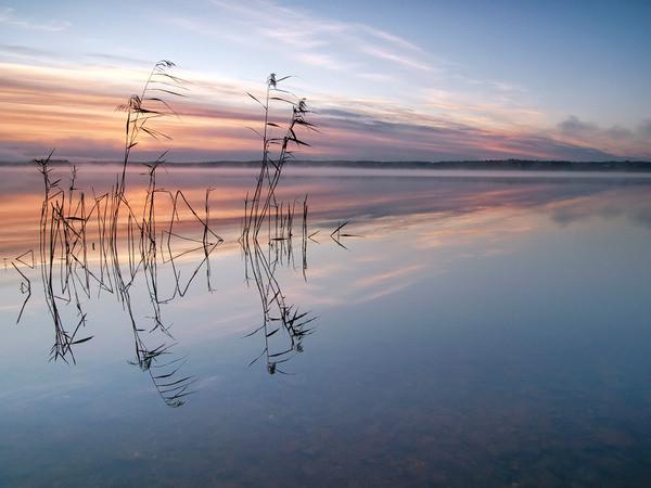 精辟透彻到毒辣的人生经典语录