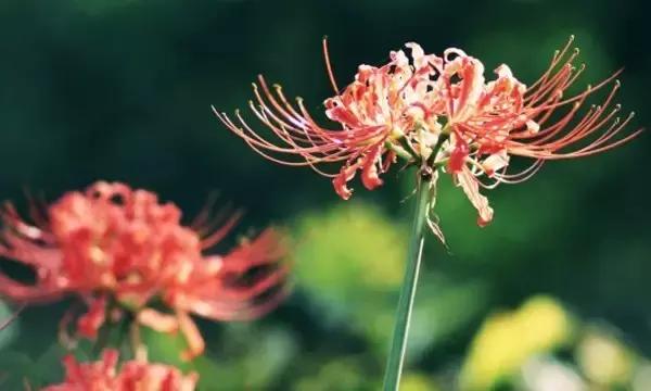 学会放手,幸福需要自己成全 学会放手,幸福需要自己成全