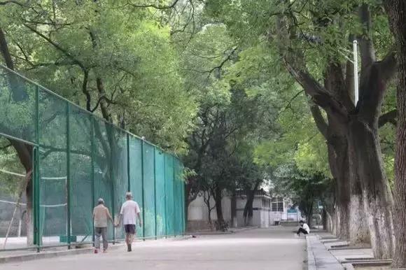 有一种陪伴,一直有心间 有一种陪伴,一直有心间