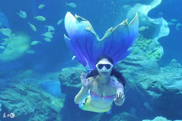 周国平:醉无用之酒,钟无用之情 周国平:醉无用之酒,钟无用之情