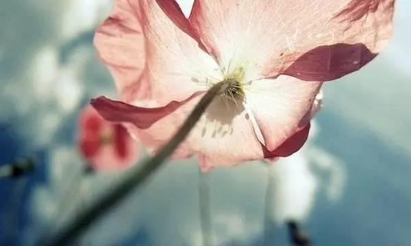 身体健康,比什么都强 身体健康,比什么都强