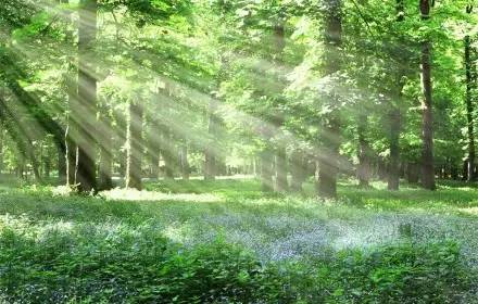 大度看人生，从容过日子