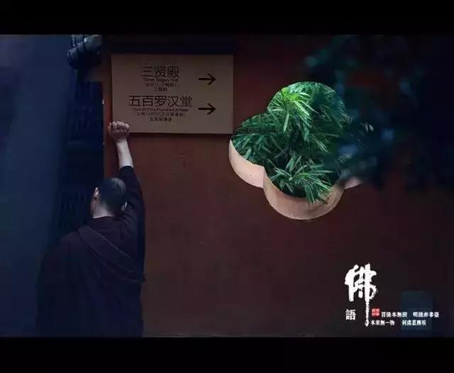 仓央嘉措的回声: 你的心,在污泥里开出一朵莲花 仓央嘉措的回声: 你的心,在污泥里开出一朵莲花