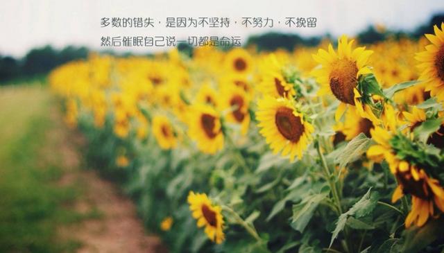生命就是一个一直在支出时间的过程