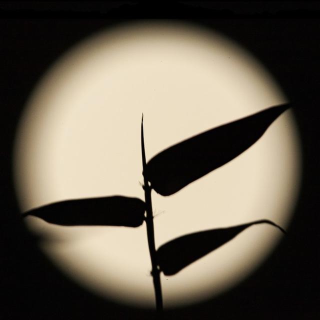 关于脾气脾气这东西