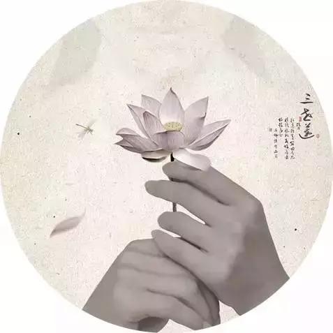 倾听一朵莲的心事