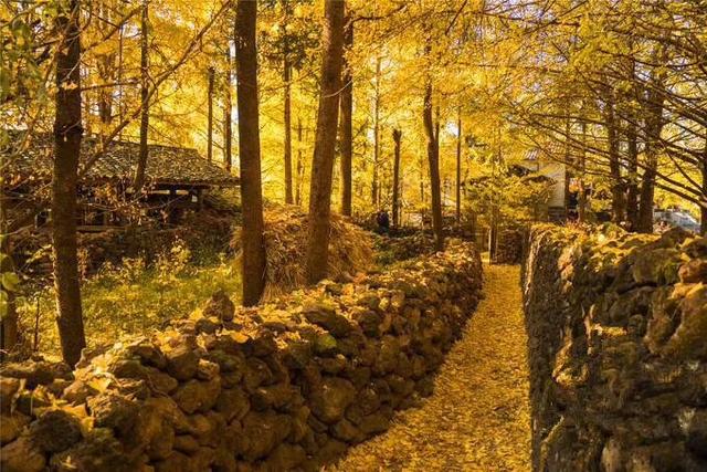 2017最新的鸡汤哲理语录，幽默，精辟，发朋友圈必赞