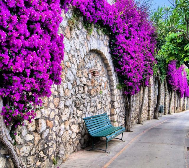 每天必读的人生经典句子