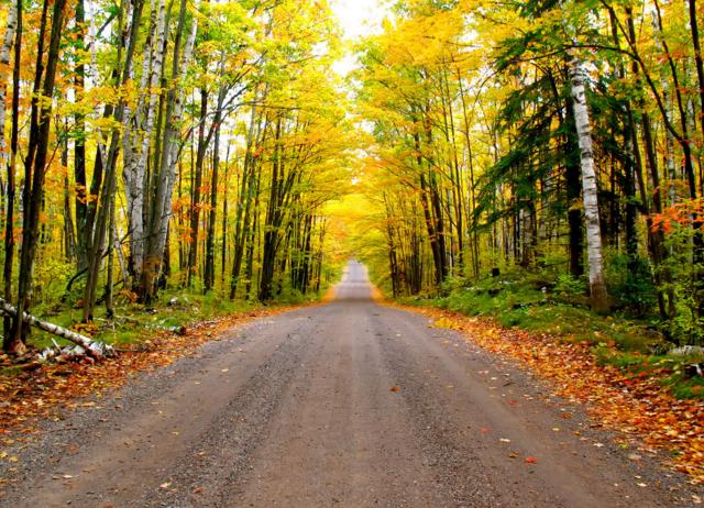 人生路上，不知道转弯的人永远走不远