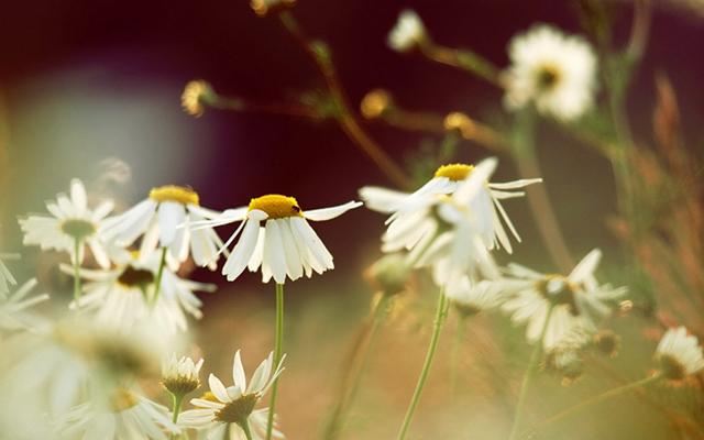 2017最适合发朋友圈的经典语录