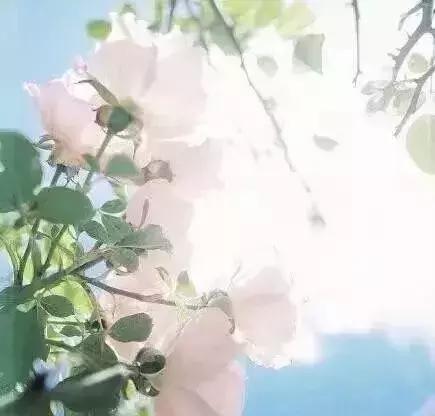 淡而不厌