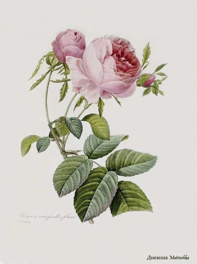 精辟到噎死人的经典语录,透彻至极 精辟到噎死人的经典语录,透彻至极