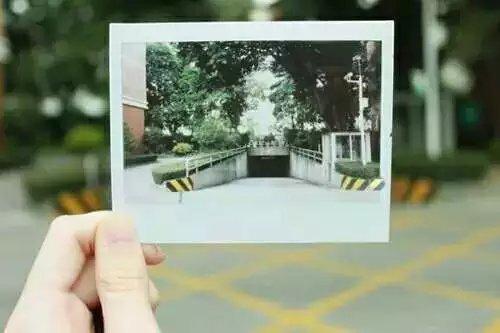 如果 当初，怎么又要止步