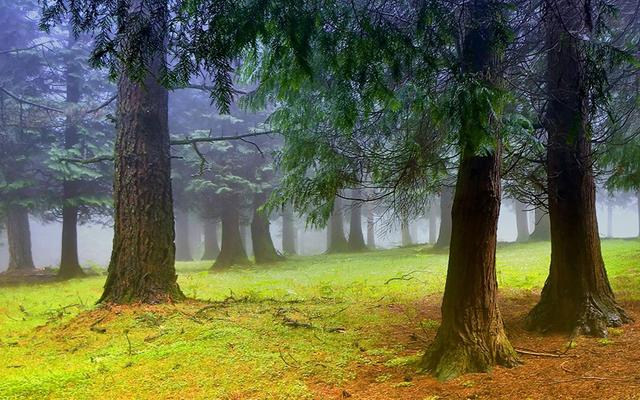 拒绝这件事,越简单越好 拒绝这件事,越简单越好