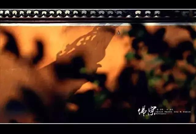 仓央嘉措的回声: 你的心,在污泥里开出一朵莲花 仓央嘉措的回声: 你的心,在污泥里开出一朵莲花