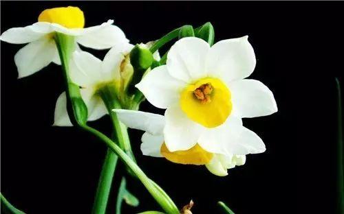 真正的放弃并不会张扬而是慢慢不联系 真正的放弃并不会张扬而是慢慢不联系