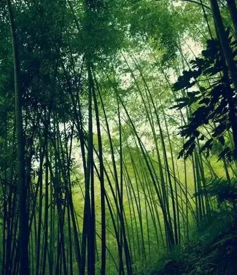 做人7+1，看懂就是福气