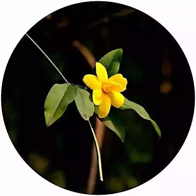 放下昨天,珍惜明天 放下昨天,珍惜明天