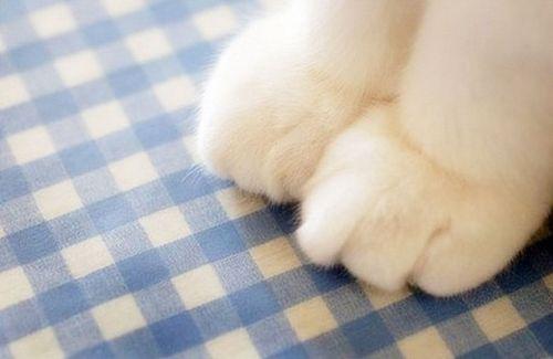 施人之恩，不发于言；受人之惠，不忘于心