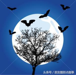 打动人心的网络经典语录 打动人心的网络经典语录
