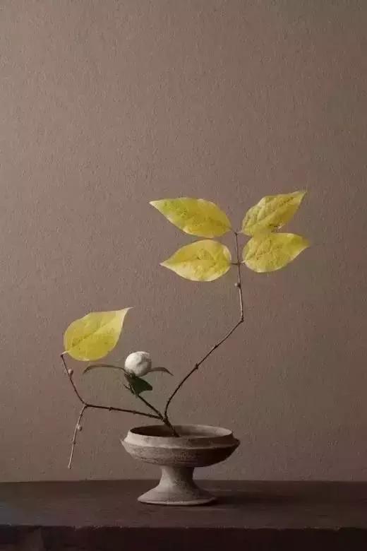做人，不戴面具；交往，不玩心眼