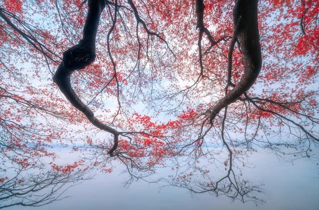 毛主席人间正道是沧桑