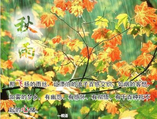 读懂了秋就读懂了人生