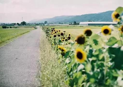 这露骨现实的人生感悟，戳中你了吗？