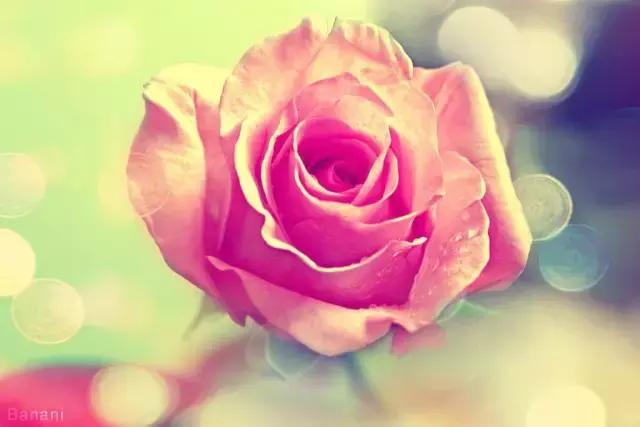 这段话真漂亮,说到了心上 这段话真漂亮,说到了心上